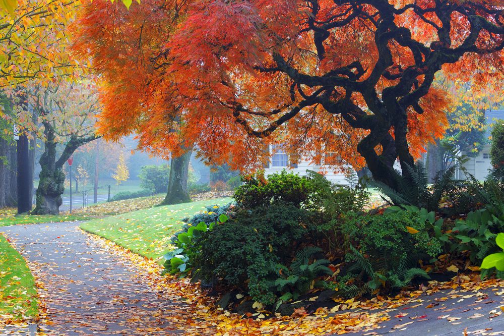 Pavement Maintenance Tips for Fall - Annapolis, MD Paving